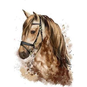 Figured'Art Peinture par Numéro Adulte Cheval brun - Kit de Loisir Créatif DIY Numéro d'Art - 40x50cm sans châssis
