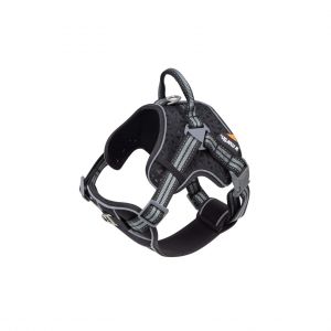 Martin Sellier Harnais pour chien