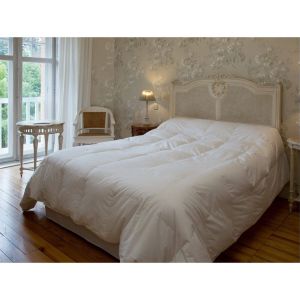 Castex Couette été oie 90% duvet (220 x 240 cm)