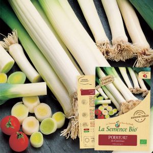 La Semence Bio Graines bio Poireau de Carentan