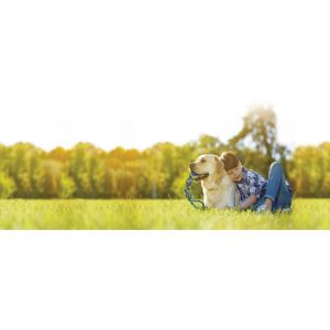 Zeus Jouet Chien – ZS K9 Fitness Corde Nœuds et Balle coloris jaune – 43 cm