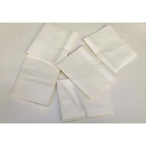 Scheppach Sacs en papier accessoires optionnels 5 pc pour aspirateur DC100