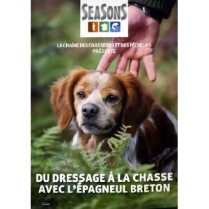Image de Du dressage à la chasse avec l'épagneul breton