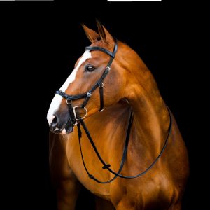 Bridon équitation anatomique Horseware Micklem 2 Deluxe