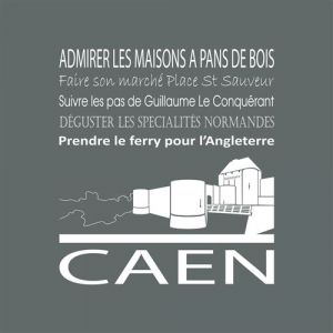 Artis Toile 30x30 caen cendre