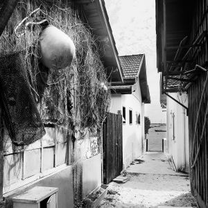 Ceanothe Toile 30X30 Chemin Plage B&W