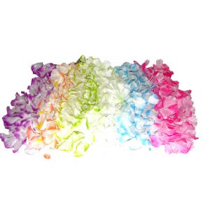 Ruedelafete Collier Hawaien