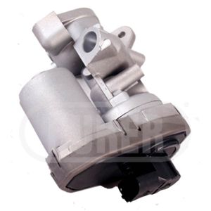 Dürer Vanne EGR VR21131