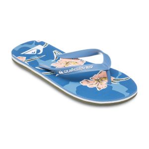 Quiksilver Molokai Art 25 - Tongs pour Homme Bleu - Taille 39