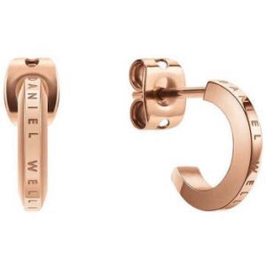 Daniel Wellington Boucles d'oreilles pour femme ou homme en Acier - DW.DW00400146