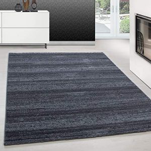 Teppium Tapis à poils courts Moderne, MINUS, 80 cm x 150 cm, GRIS, Rectangulaire, 6 mm [4058819689073]