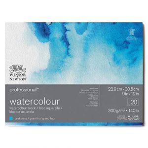 Image de Winsor & Newton Papier aquarelle 20 feuilles 300 g/m² fin 22,9 x 30,5 cm