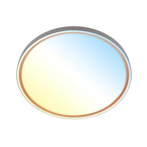 BRILONER - Plafonnier LED avec télécommande, intensité lumineuse variable, CCT blanc chaud à froid, lustre salon, chambre, luminaire plafonnier, cuisine, 49x6,5cm, anthracite