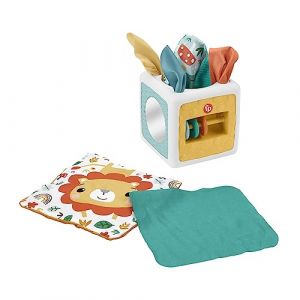 Fisher-Price Cube D’Activités Boîte De Mouchoirs, Activités Sensorielles Stimulantes, 6 « Mouchoirs » Fournis, Jeu À Plat Ventre Ou Assis, Jouet Bébé, A Partir De 3 Mois, HML64