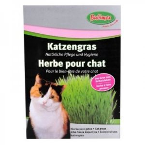 Bubimex Herbe à chat