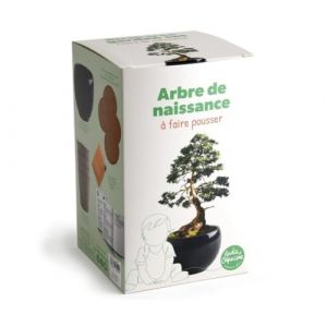 Radis et capucine Kit arbre de naissance - Cèdre