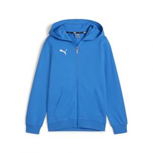 Puma Teamgoal Casuals Jr Sweat &agrave; Capuche pour gar&ccedil;on