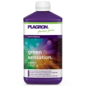 Plagron Green sensation 1L - Booster de floraison, augmente les principes actifs