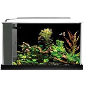 Fluval Aquarium Spec V - 19 L - Noir