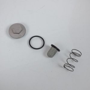 Purina By Camamoto cod 77255050 Bouchon de vidange d'huile moteur complet avec joint torique - ressort et filtre compatibles avec Silver Wing 400/600