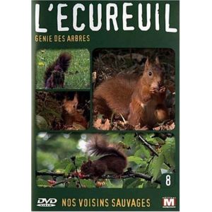 Image de Nos voisins sauvages : L'écureuil, Génie des arbres