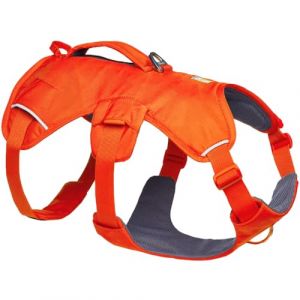Ruffwear Harnais pour chien Web Master