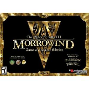 Image de The elder scrolls 3 : Morrowind - game of the Year Edition [PC]