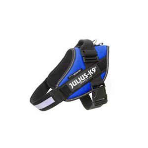 Julius K9 Harnais IDC pour chien Bleu 0 (58-75 cm / 15-23 kg)