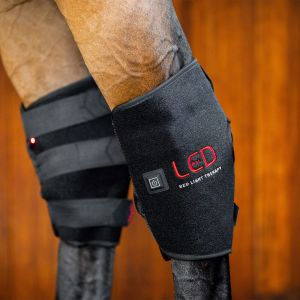 Prot&egrave;ge-jarret pour cheval luminoth&eacute;rapie Horseware LED