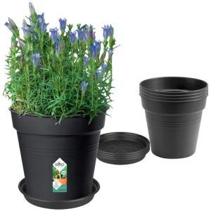 Elho Lot de 5 pots de fleur de culture avec soucoupe Green Basics - Ø17 x H157 cm + soucoupe Ø14 cm - 4 L - Noir