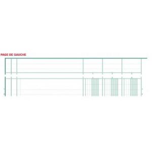 Exacompta Piqûre 10 colonnes sur 2 pages 80 pages (210 x 297 mm)
