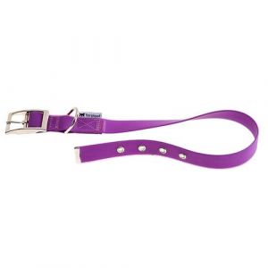 Ferplast EVOLUTION CF Collier en polyester et PVC pour chiens. Diff&eacute;rentes couleurs et tailles.. Variante CF25/53 - Mesures: A: 45-53 cm B: 25 mm - Violette