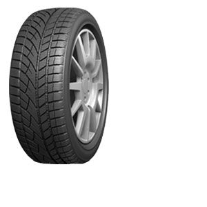 Image de Evergreen 205/45 R17 88H EW66 XL