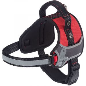 Ferplast HERCULES M Harnais technique pour chiens avec poign&eacute;e et bords r&eacute;fl&eacute;chissants. Diff&eacute;rentes couleurs et tailles.. Variante - Mesures: A: 43&divide;56 cm - B: 59&divide;70 cm 25 mm - Rouge