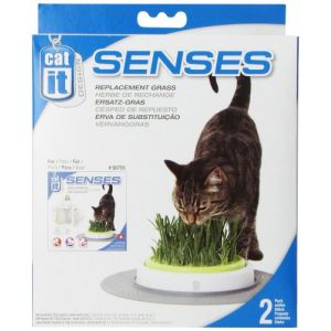 Catit Recharge jardin d'herbe à chat