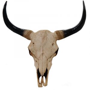 D&eacute;coshop26 T&ecirc;te de taureau d&eacute;coration murale 45cm troph&eacute;e longhorn en polyr&eacute;sine int&eacute;rieur/ext&eacute;rieur naturel 040002848
