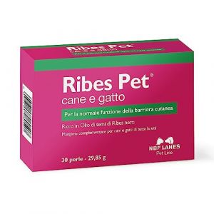 Ribes Pet