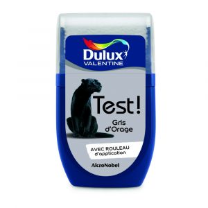 Image de Dulux Valentine Testeur peinture murs et boiseries Cr&egrave;me de couleur gris d'orage satin 30ml