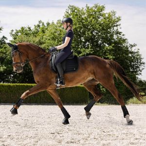 Waldhausen Tapis de selle pour cheval Rimini