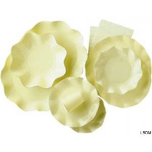 10 assiettes Corolle (27 cm)