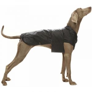 Croci MONTREAL, Manteau pour Chiens, Cape d'hiver, Veste Imperméable, Toison Taille 20 cm, Noire
