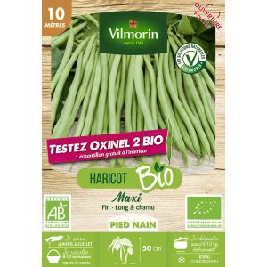 Vilmorin Graines de Haricot Nain Maxi 10m