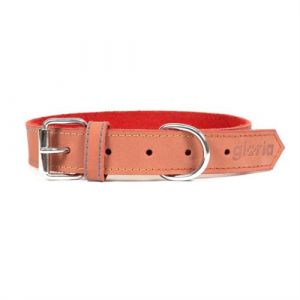 Gloria Collier pour Chien Oasis 1 5 40 cm Rouge