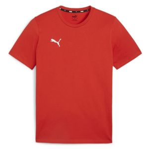 Puma T-shirt Team Goal