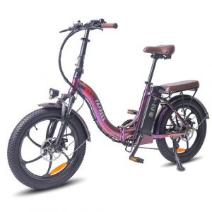 Vélo électrique FAFREES F20 Pro Pliable Batterie 36V 18Ah Vitesse Maximale 25km h Violet