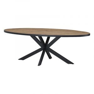 Table &agrave; manger 220 x 110 cm ovale pieds &eacute;toile Lio