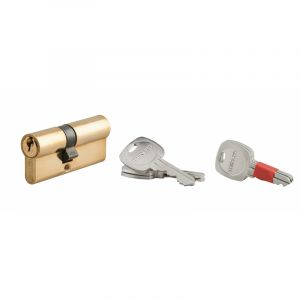 THIRARD Cylindre de serrure 5g std modifiable &agrave; double entr&eacute;e - 30 x 40 mm