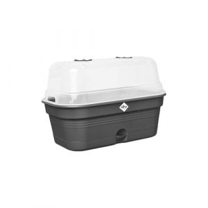 Elho Green Basics Plateau De Culture Allin1 L - Noir - L 39 x B 23 x H 15 cm - culture et récolte - 100% recyclé