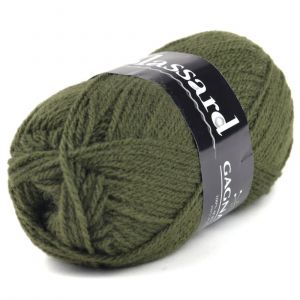 Fil À Tricoter Gagnante - Plassard 927 Vert