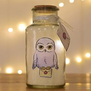 Wizarding World Harry Potter Charms Hedwige Pot Lumineux LED 16,5 cm